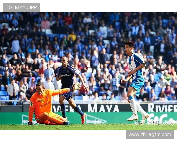 法甲年度重要签约球员及影响分析