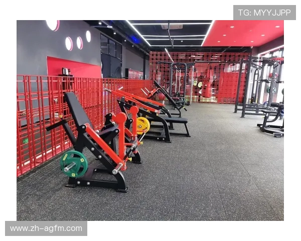 阳锐健身器材官网精选标题合集: 阳锐健身器材官网精选标题合集: